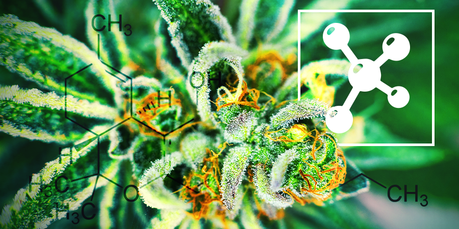 Cannabinoids Cannabinoids