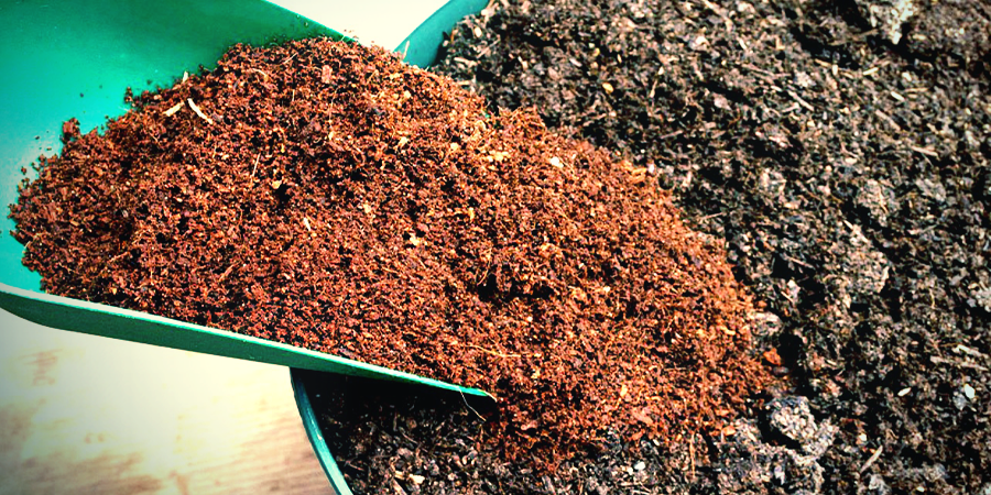How To Use Coco Coir As A Potting Medium How To Use Coco Coir As A Potting Medium