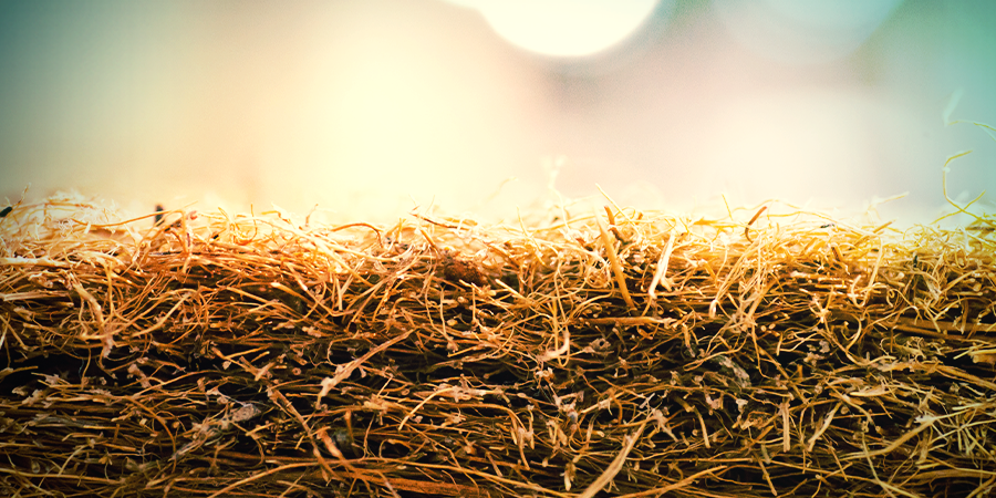 How To Use Coco Coir As A Potting Medium How To Use Coco Coir As A Potting Medium