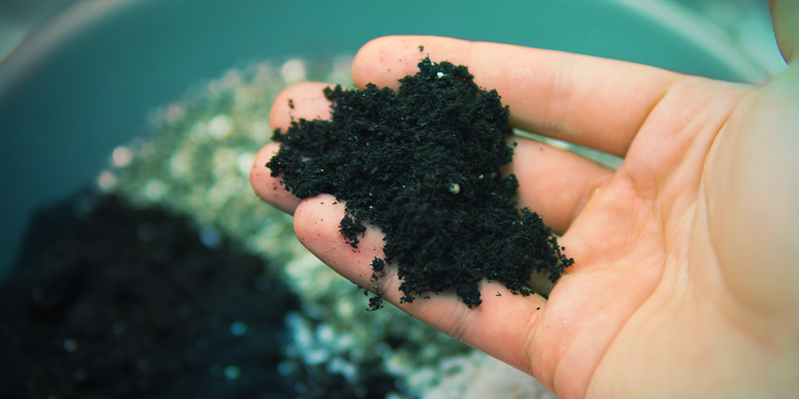 Important Soil Factors Important Soil Factors