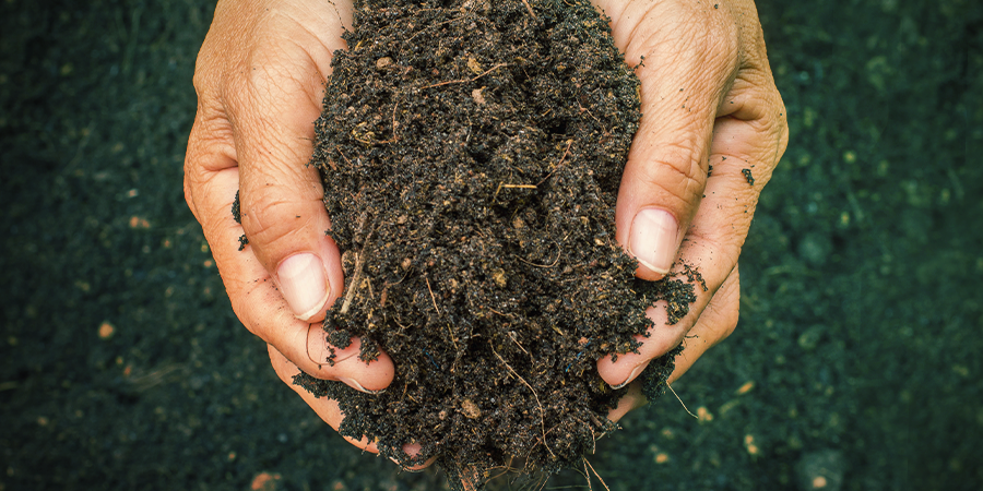 How To Recognise Good (And Bad) Soil How To Recognise Good (And Bad) Soil