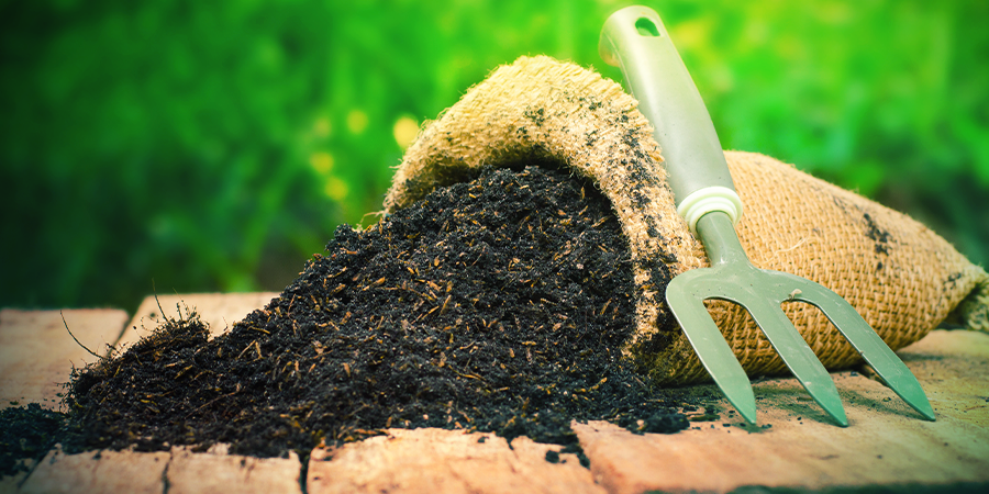Best Soil For Indoor And Outdoor Cannabis Best Soil For Indoor And Outdoor Cannabis