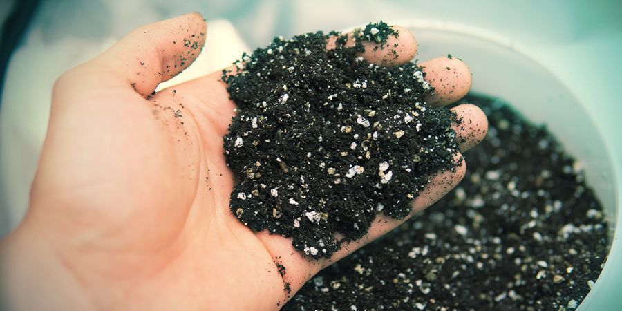 How To Make Your Own Organic Super Soil