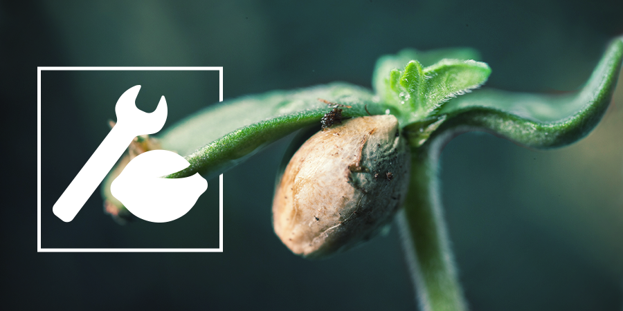 Germination Troubleshooting Germination Troubleshooting
