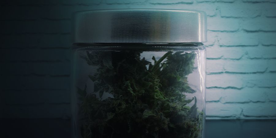 THE BEST WAY TO STORE YOUR CANNABIS