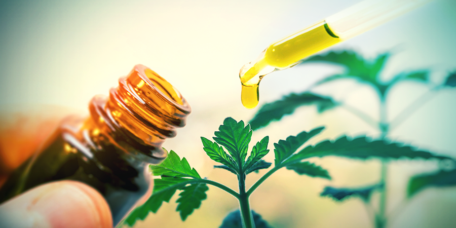 How To Make Your Own Herbal Tinctures At Home How To Make Your Own Herbal Tinctures At Home