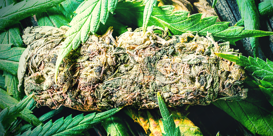 Make Your Own Rolling Paper