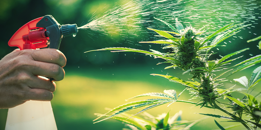 How To Adjust Humidity How To Adjust Humidity