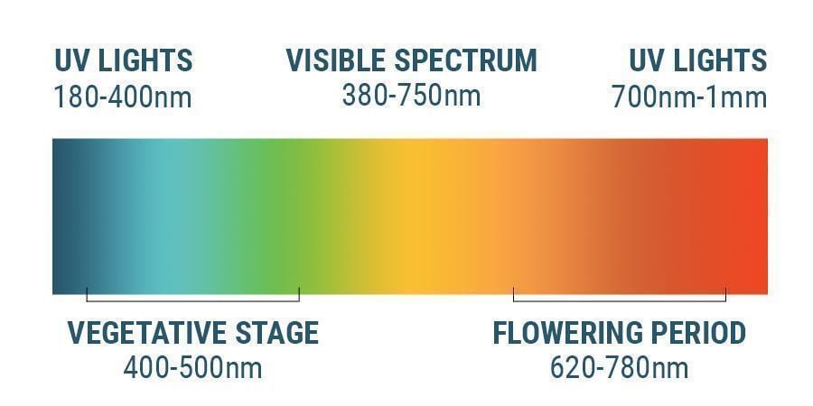 The Light Spectrum And Cannabis