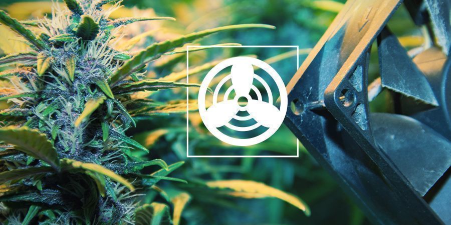 Ventilation In The Cannabis Grow Space