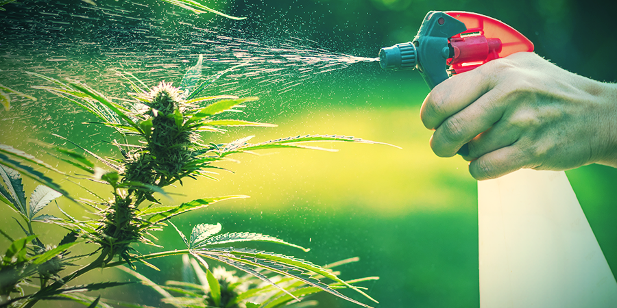 Garden & Backyard Growing: Advantages And Disadvantages Garden & Backyard Growing: Advantages And Disadvantages