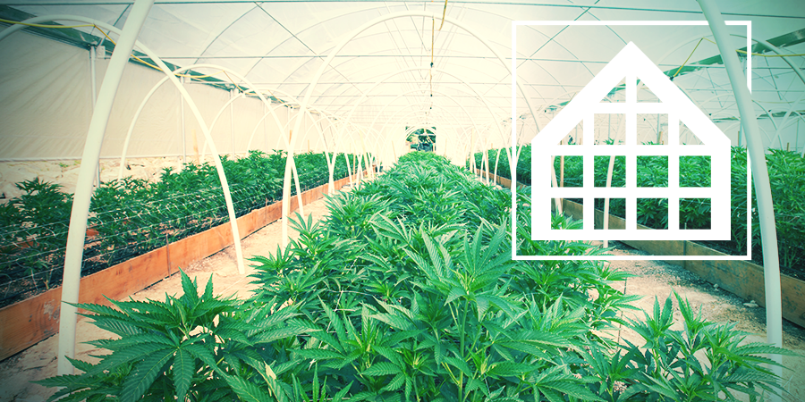 Greenhouse & Conservatory Growing Greenhouse & Conservatory Growing