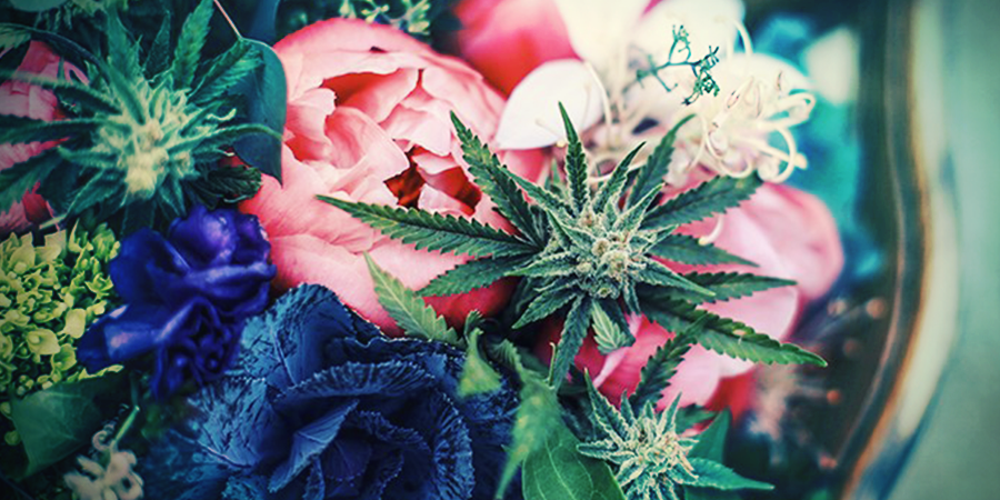 Fool 'M With Fake Blooms Fool 'M With Fake Blooms