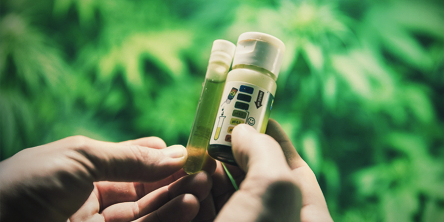 How To Measure pH And EC How To Measure pH And EC