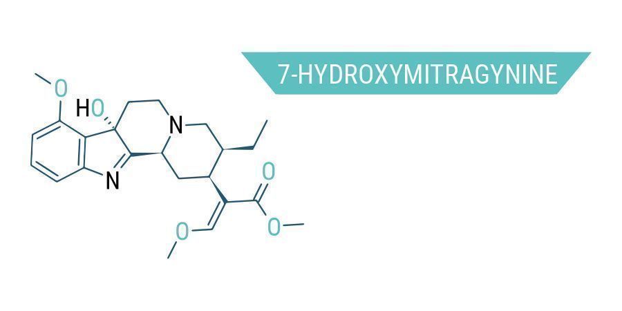 Kratom's Many Chemical Compounds: 7-Hydroxymitragynine