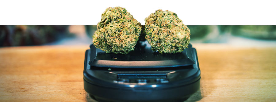 https://www.zamnesia.com/img/cms/Footer%20Text/140_scales/Footer-Text-Information-About-Cannabis-Scales-HEADER.jpg