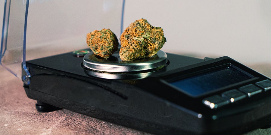 8 Best Weed Scales 2023 - Measure and Portion Cannabis Accurately