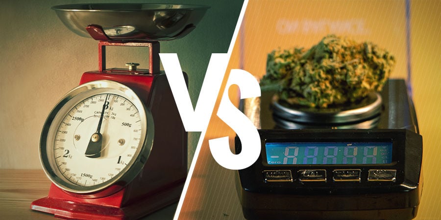The Difference Between Analogue And Digital Scales The Difference Between Analogue And Digital Scales