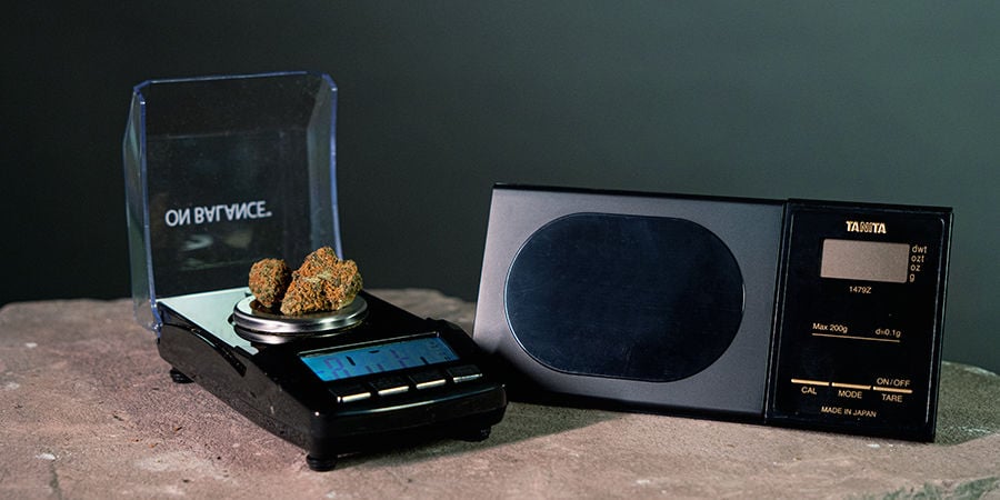 Which Weed Scale To Buy? Which Weed Scale To Buy?