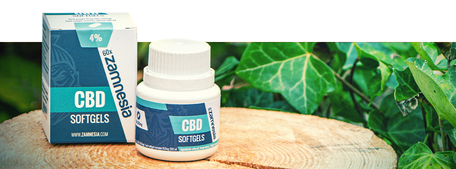 Information About CBD Capsules