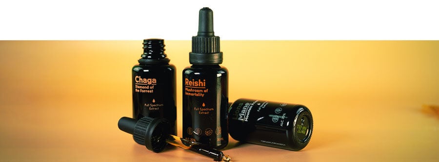 Which Mushroom Supplement Would Suit Me Best Which Mushroom Supplement Would Suit Me Best