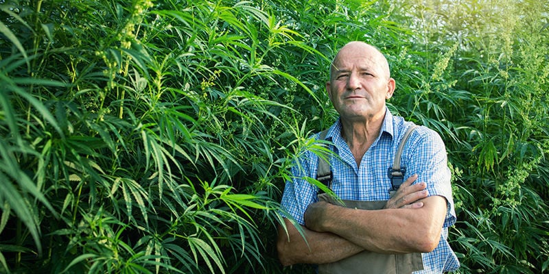 Modern Day SSSC Modern Day SSSC (Super Sativa Seed Club)