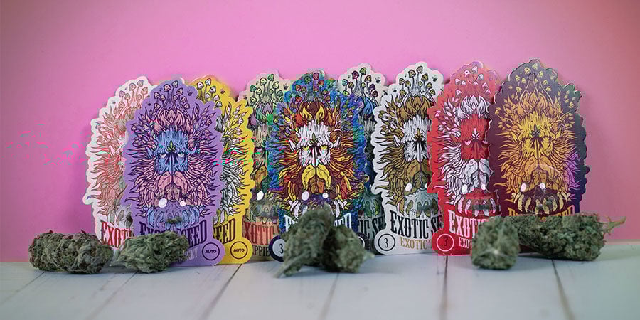 Award-Winning Cannabis Strains By Exotic Seed Award-Winning Cannabis Strains Exotic Seed