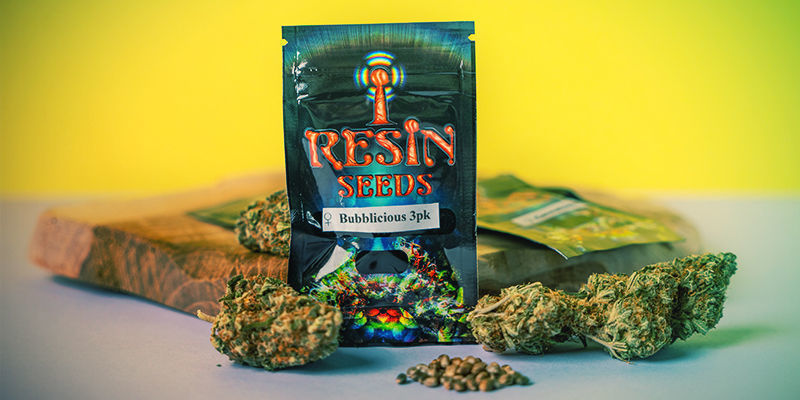 What Makes Resin Seeds Special?