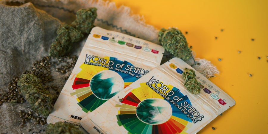 Where Can I Buy World Of Seeds Cannabis Seeds? Where Can I Buy World Of Seeds Cannabis Seeds?