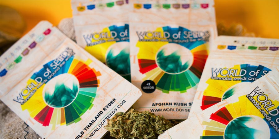 Who Are World Of Seeds? Who Are World Of Seeds?