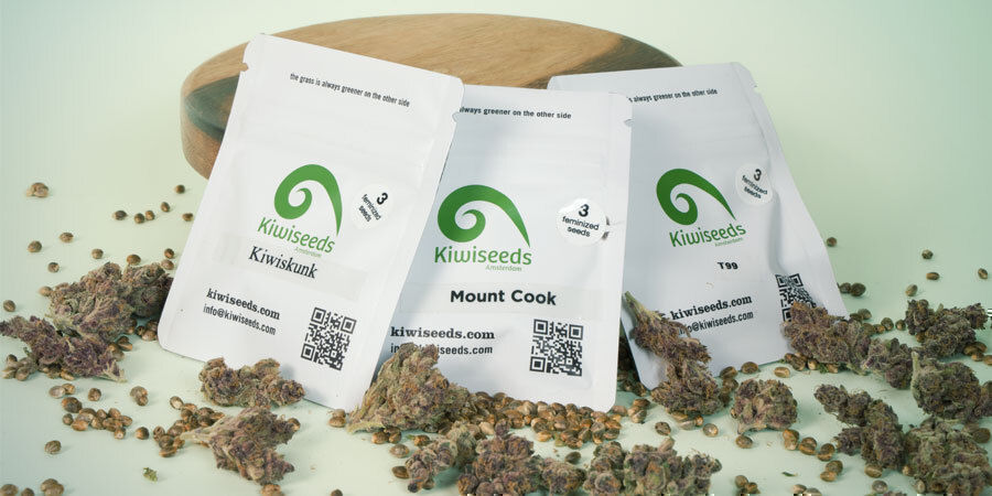 What Are the Top 3 Cannabis Strains by Kiwi Seeds?