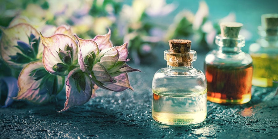 What Are Dream Herbs? WHAT ARE DREAM HERBS?
