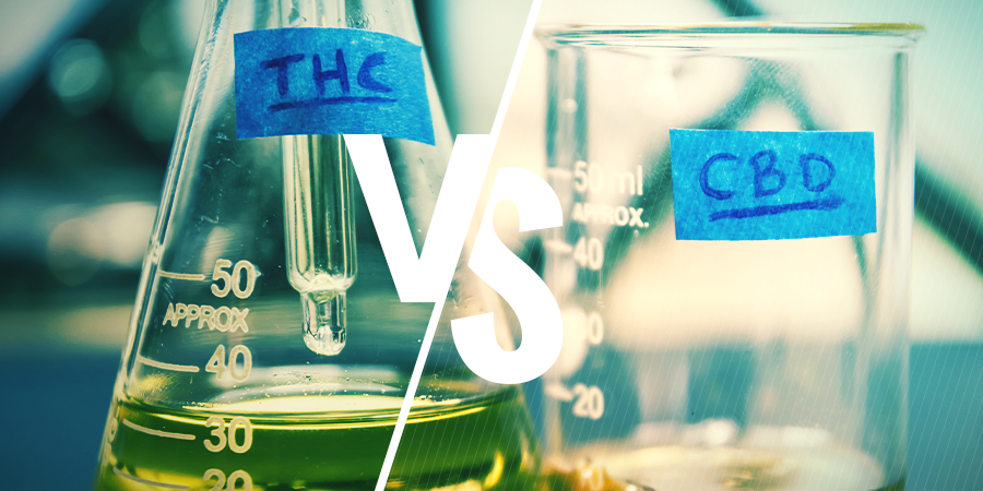 WHAT IS THE DIFFERENCE BETWEEN THC AND CBD?