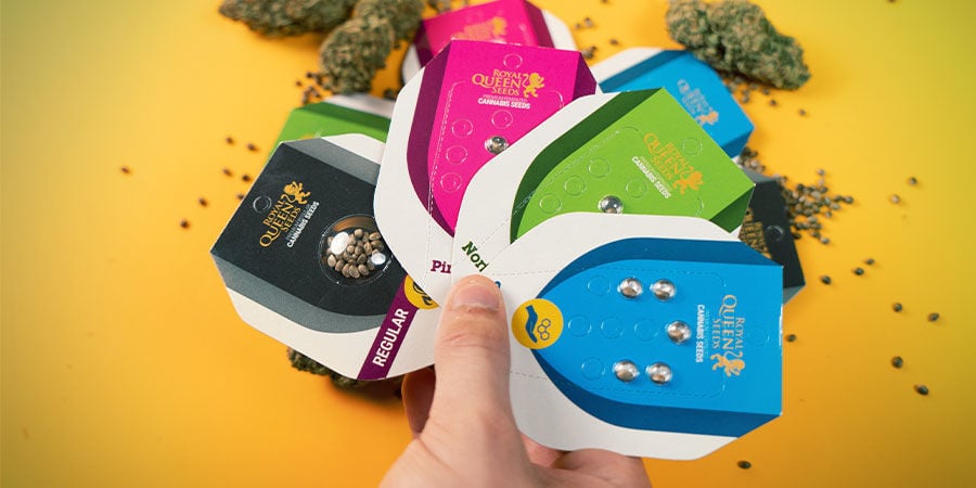 Are Royal Queen Seeds Any Good? Royal Queen Seeds Good?