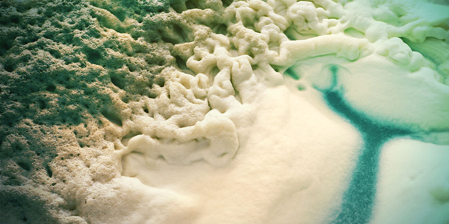 Fermenting Fermenting