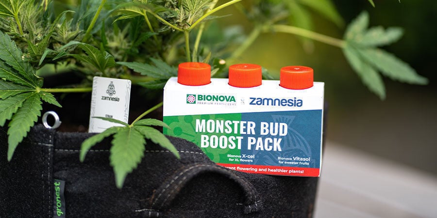 Products To Boost Cannabis Plant Performance Other products to boost cannabis plant performance