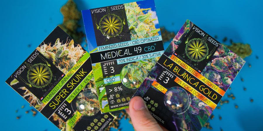 How Are Vision Seeds' Cannabis Seeds Packaged?