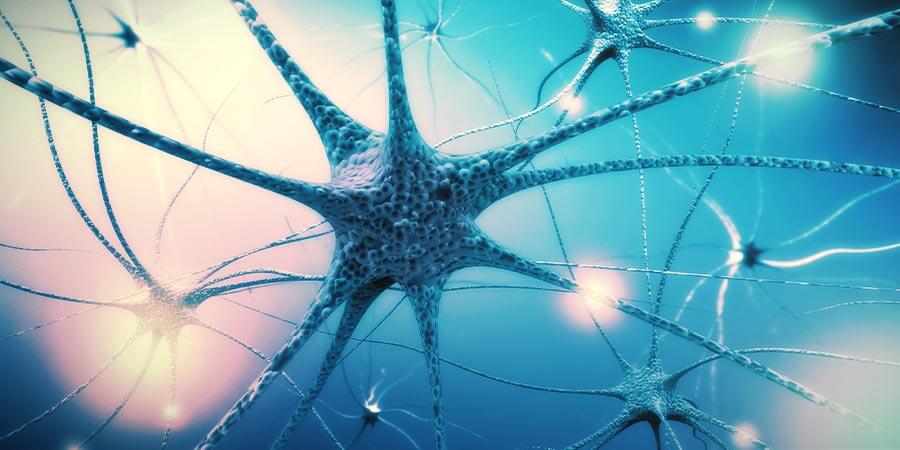 Step 4: Nourish The Nervous System Step 4: Nourish the Nervous System