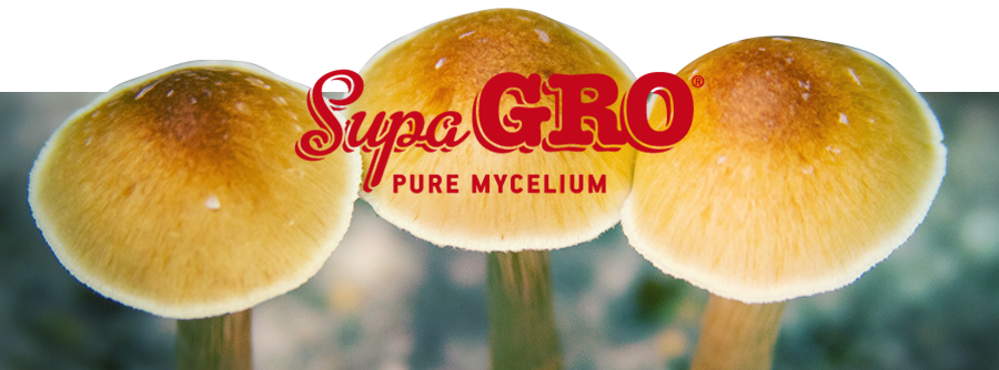 Supa Gro Kits Supa Gro Kits