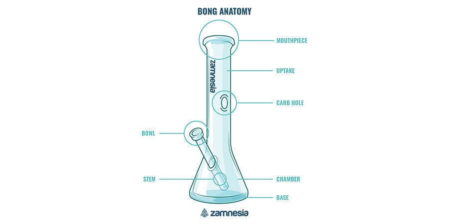 Bong Anatomy