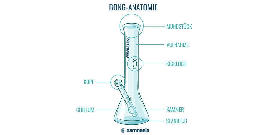 Bong-Anatomie