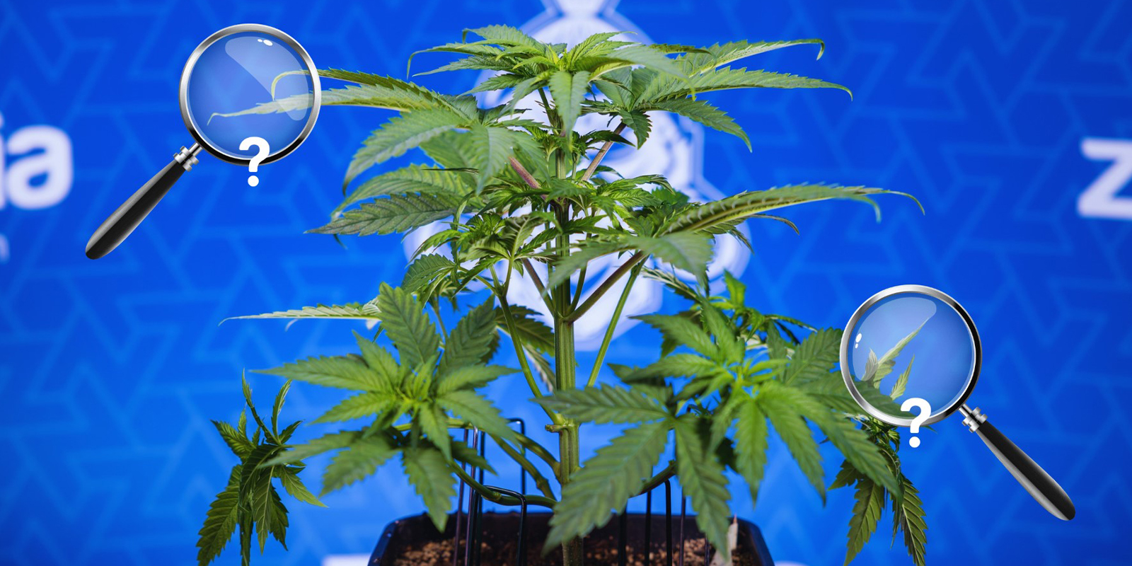 Step-by-step fix Step-by-step fix