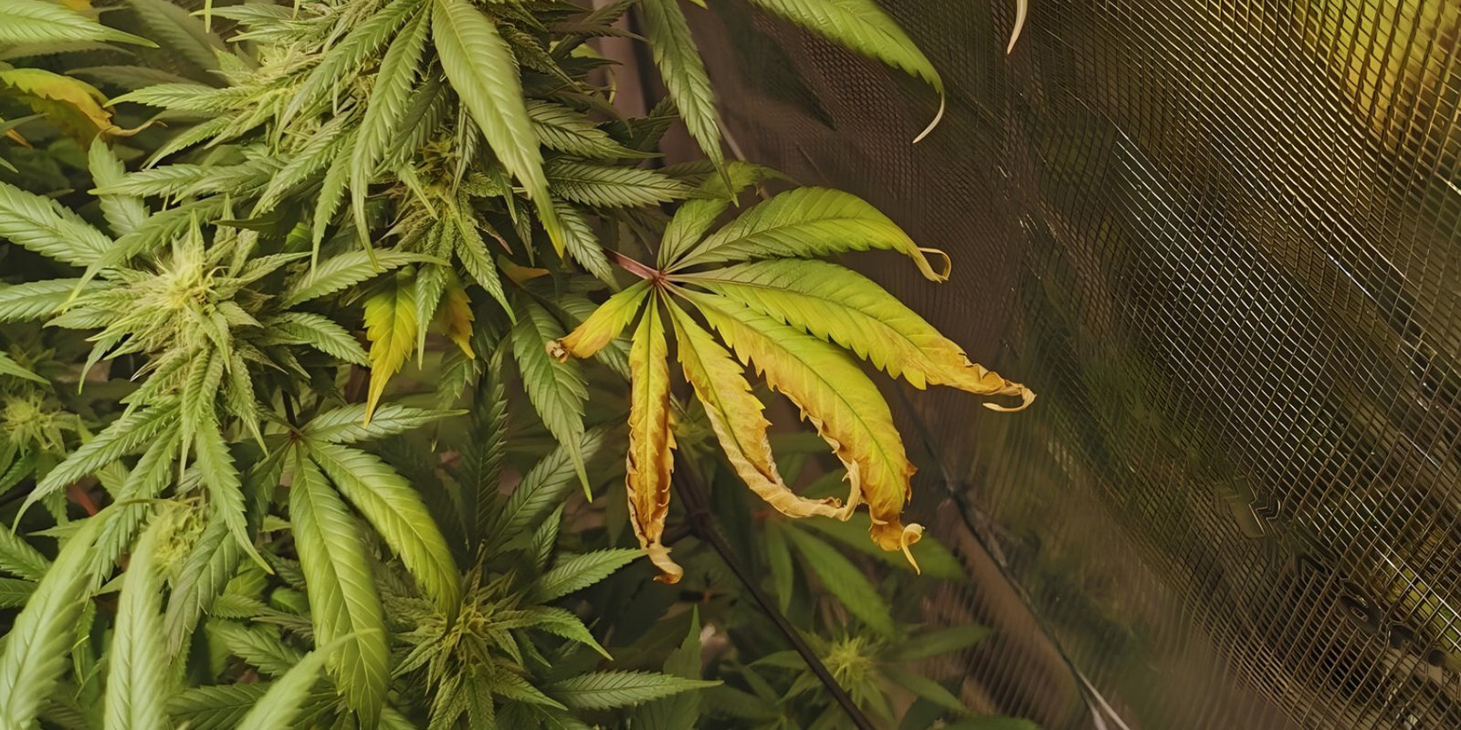 When to be concerned When to be concerned