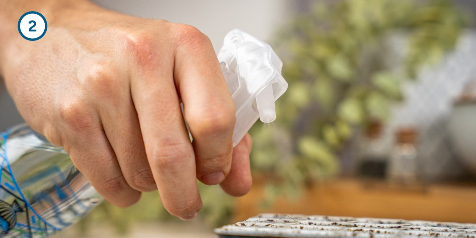 Germination kit method