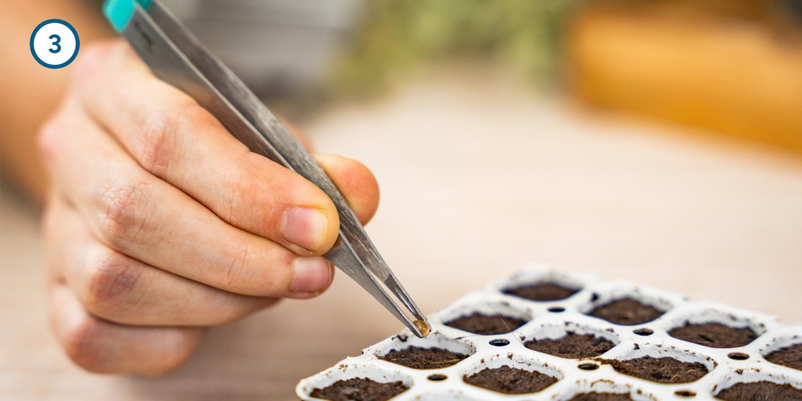 Germination kit method