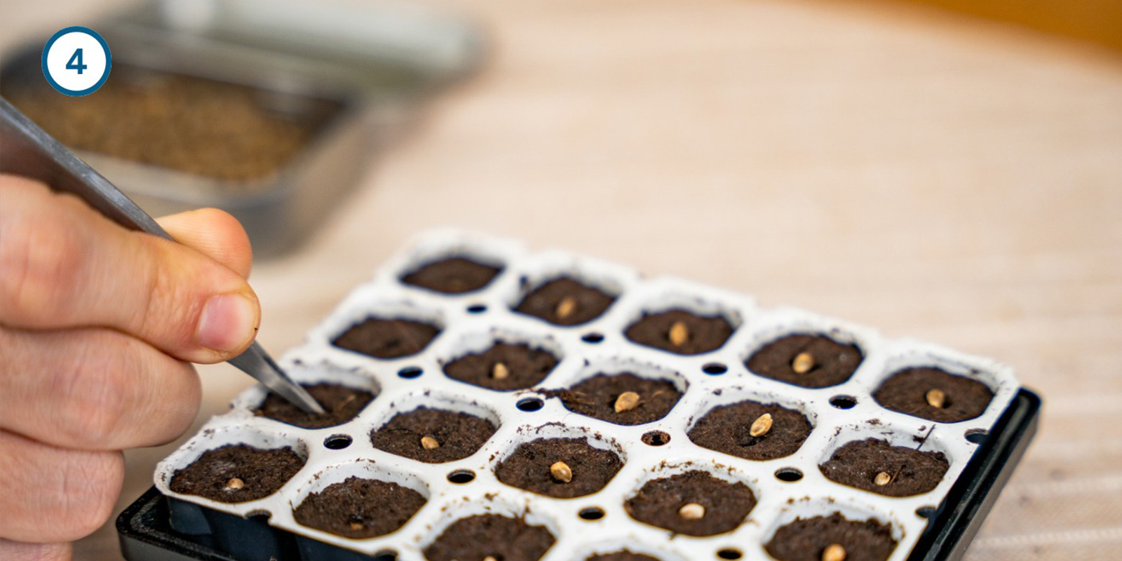 Germination kit method