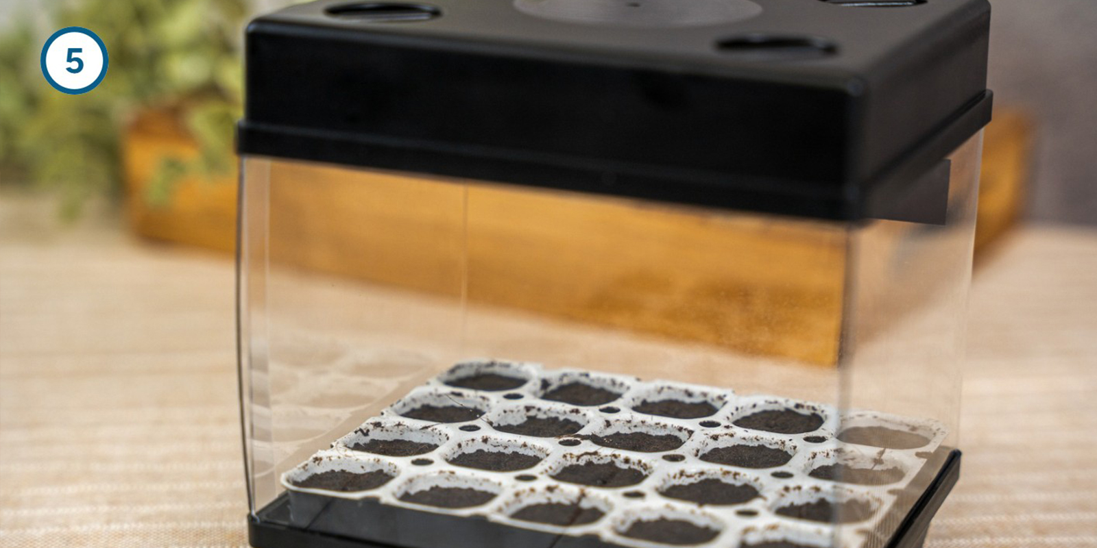 Germination kit method