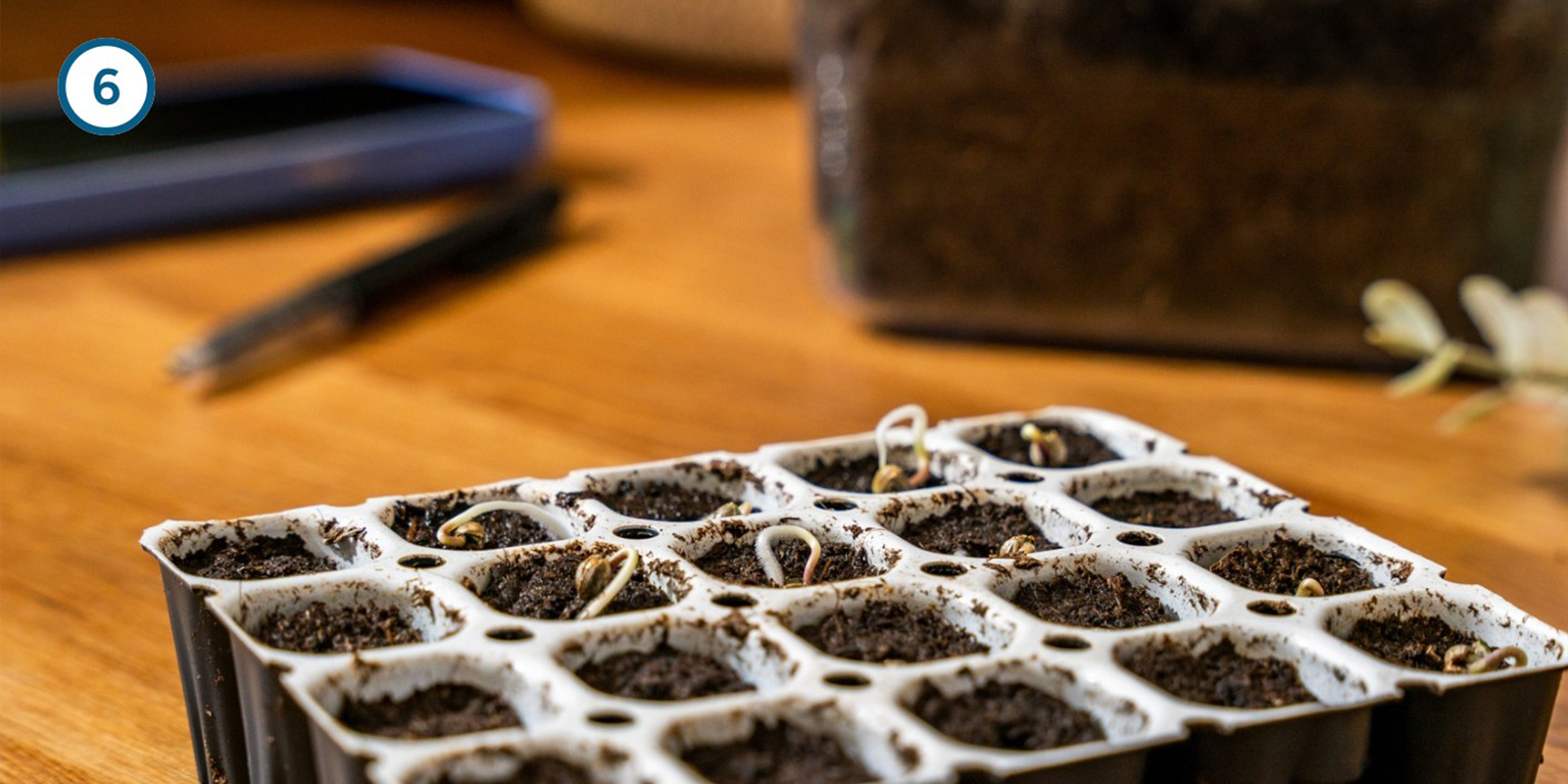 Germination kit method