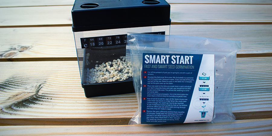 USE GERMINATION KITS TO GIVE YOUR SEEDS A HEAD START