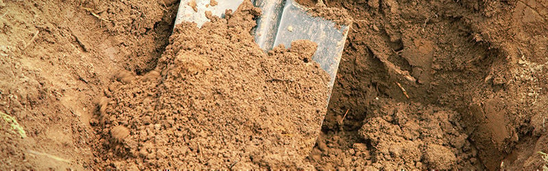 Clay soil